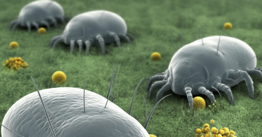 The Science of Allergens in Carpets