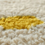 How to Clean Wool Carpet Stains